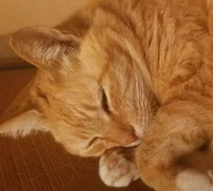 DevanApp's tweet image. 天ぷらを選ぶ、美味しい！ 🤱