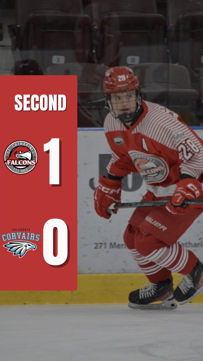 St. Catharines Falcons tweet media