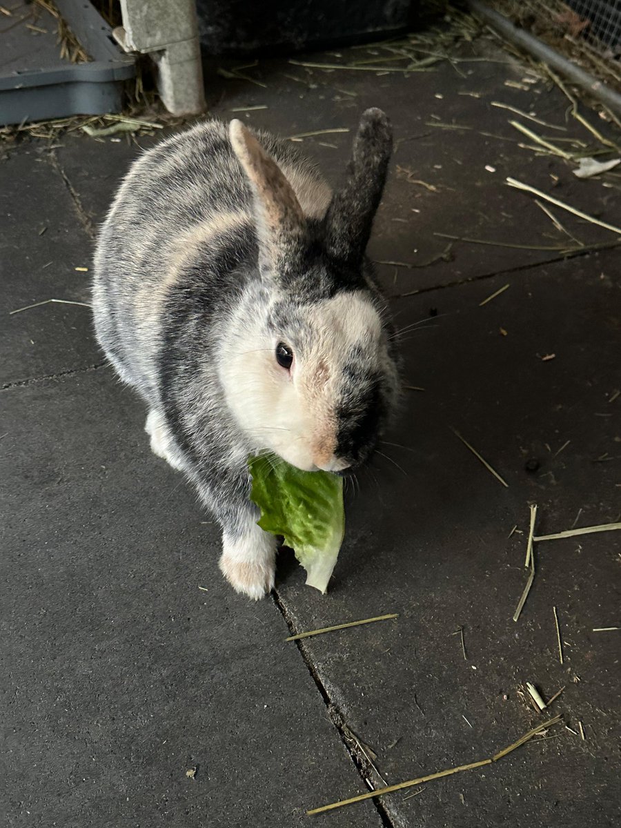 🍄🐇Slug🐌🍄 tweet media