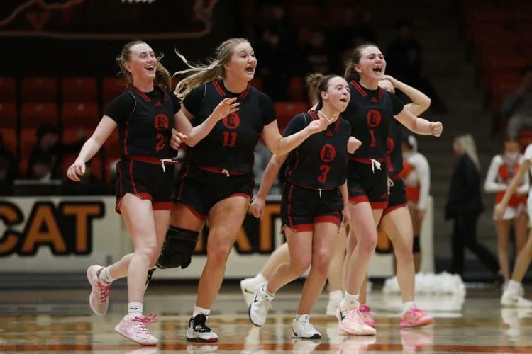 BristolSports tweet media