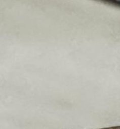 tapas131's tweet image. 犬をなる 🤕