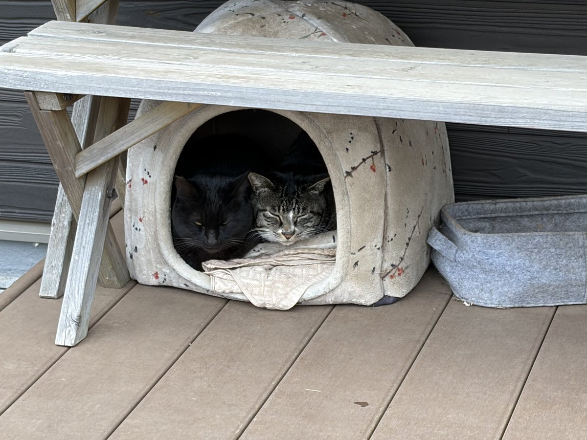 冷えますねえ。