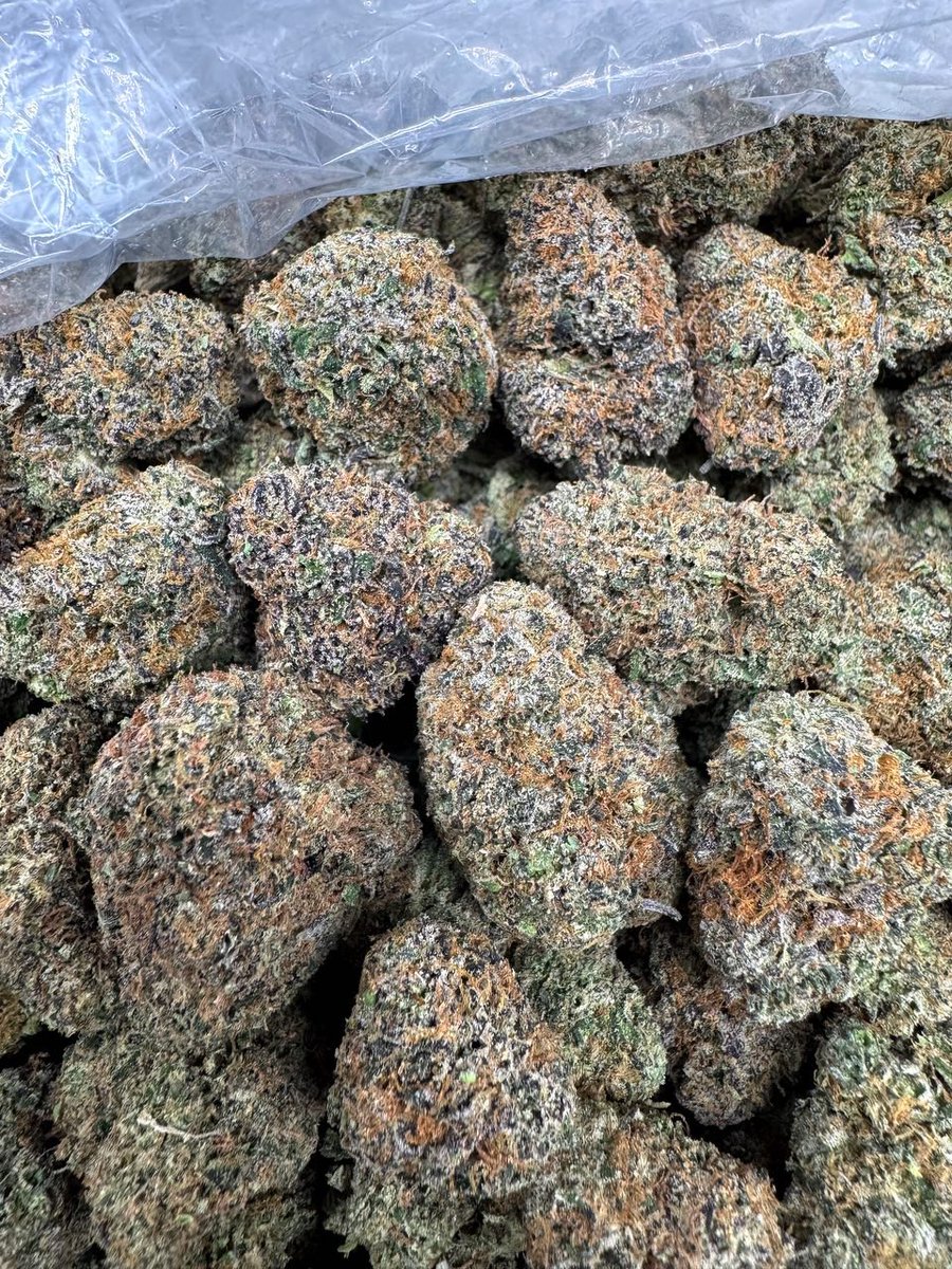 ExoticaHerc0f's tweet photo. Candy Gummy Worms ๐ฌ๐
Straight candy sweetness with a loud nose and smooth hit. Colorful, flavorful, and pressure-packed this one always gets attention. #CandyGummies #SweetGas #ExoticFlavor #TopShelfOnly #DMsOpen https://t.co/xEVDWhdIuU