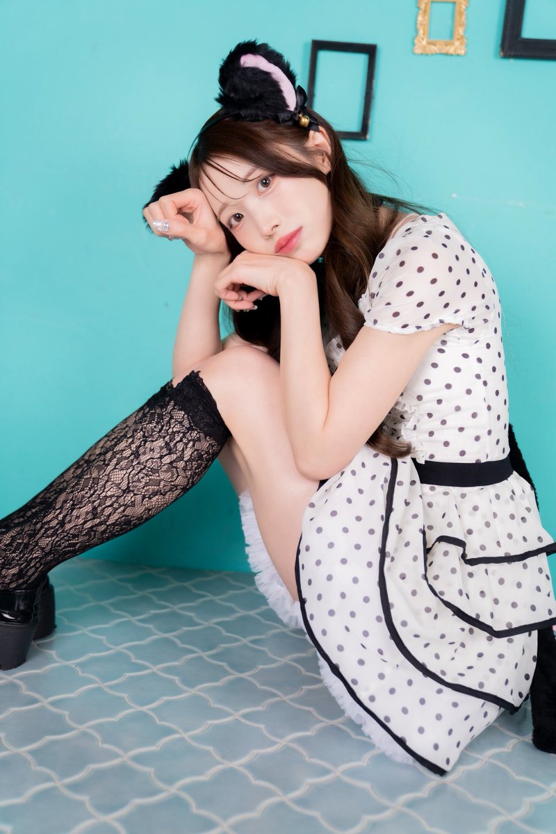 おはよ〜❕今日は、にゃんなうのきで登場するよ🐈🖤 ブロマイドも