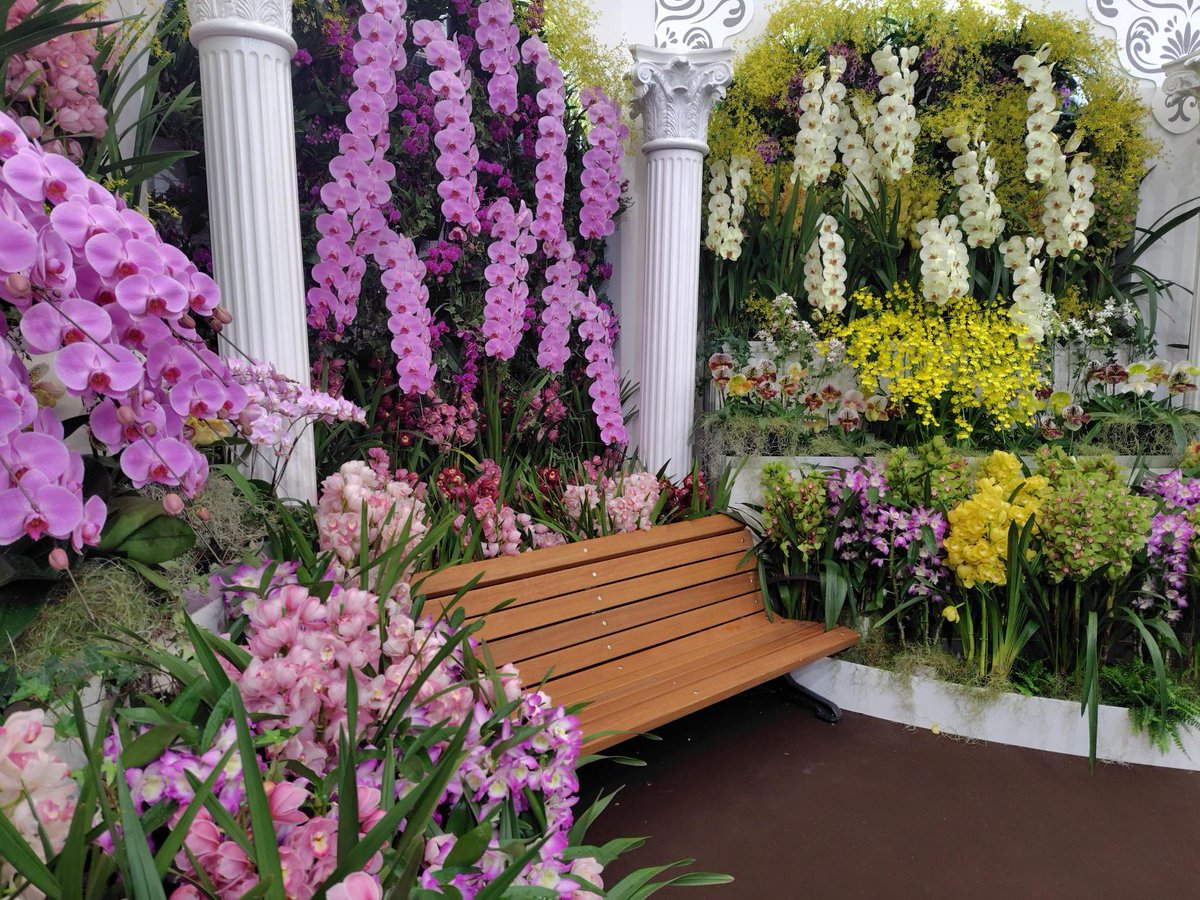 【公式】世界らん展-花と緑の祭典- tweet media