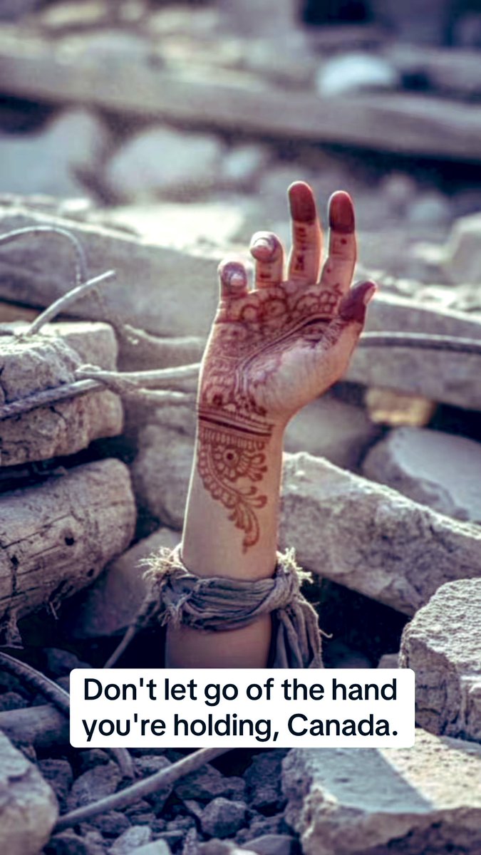 Burçin Uçarer tweet media