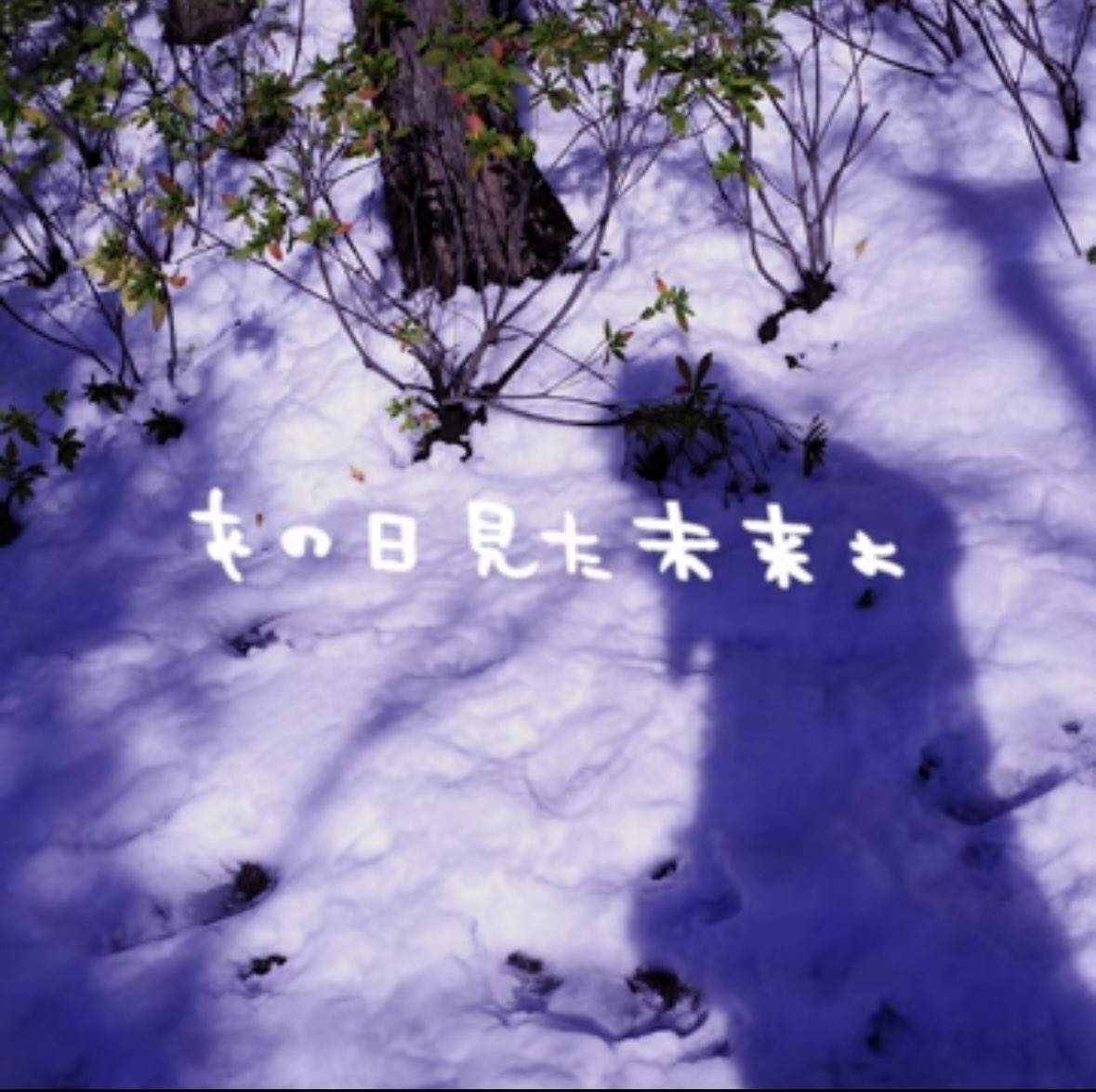 結 tweet media