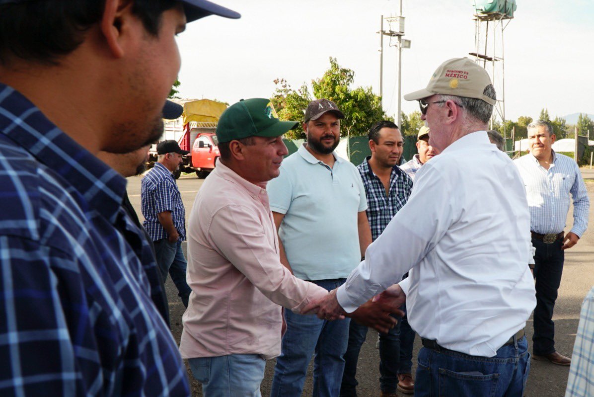 Como parte de la gira de trabajo en #Michoacán, la tarde de hoy recorrí el huerto de fresas de exportación “Los Espinos 3”, del productor Antonio Sámano.

En diálogo abierto con productores, revisamos las prácticas productivas, de financiamiento y comercialización, así como de