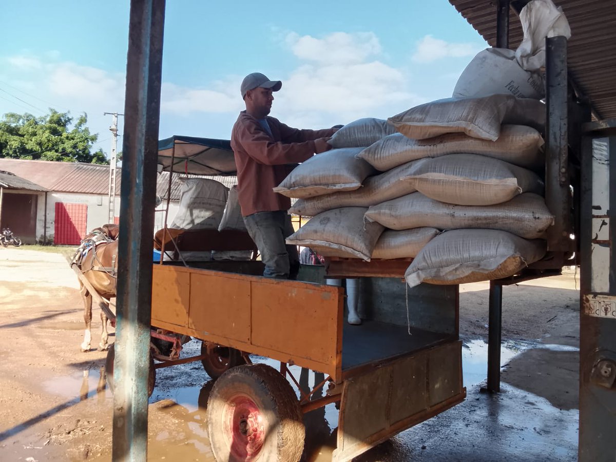 Como parte de las medidas adoptadas en el municipio #1roDeEneroDeVictorias se garantiza la distribución de azúcar de la Canasta Familiar Normada.
#ComercioCuba
#SinPerderUnDia <a href="/AlfreMene37409/">Alfre Menendez</a> <a href="/MinagCuba/">Ministerio de la Agricultura de Cuba</a> <a href="/MincinCuba/">Comercio Cuba</a> <a href="/PartidoPCC/">Partido Comunista de Cuba</a> <a href="/MinagCuba/">Ministerio de la Agricultura de Cuba</a>  <a href="/Agramontinof/">El Agramontino</a>