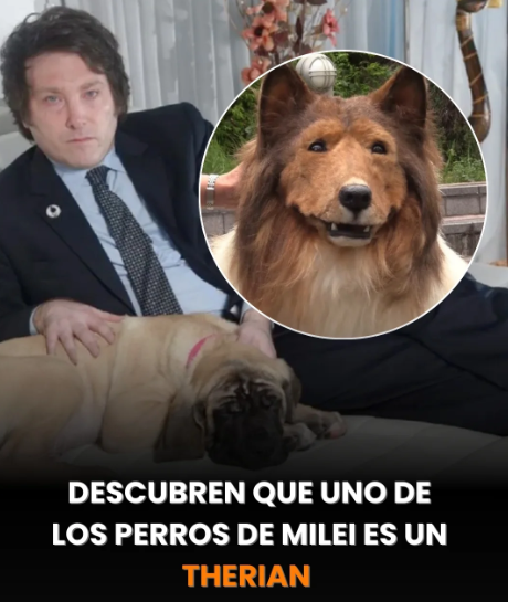 Matheus 🐉 tweet media