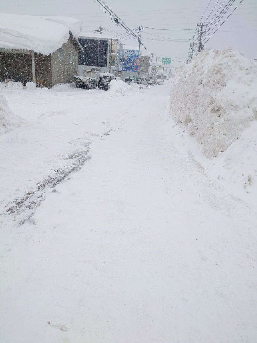 aomori_king's tweet photo. 今日で奥まで除雪されたっぽい🙋
浪館からでも三内からでも車で来れそうなのでよかったお越しください🙇🙇
11:00OPENです☃️ https://t.co/qejJRAnrKI