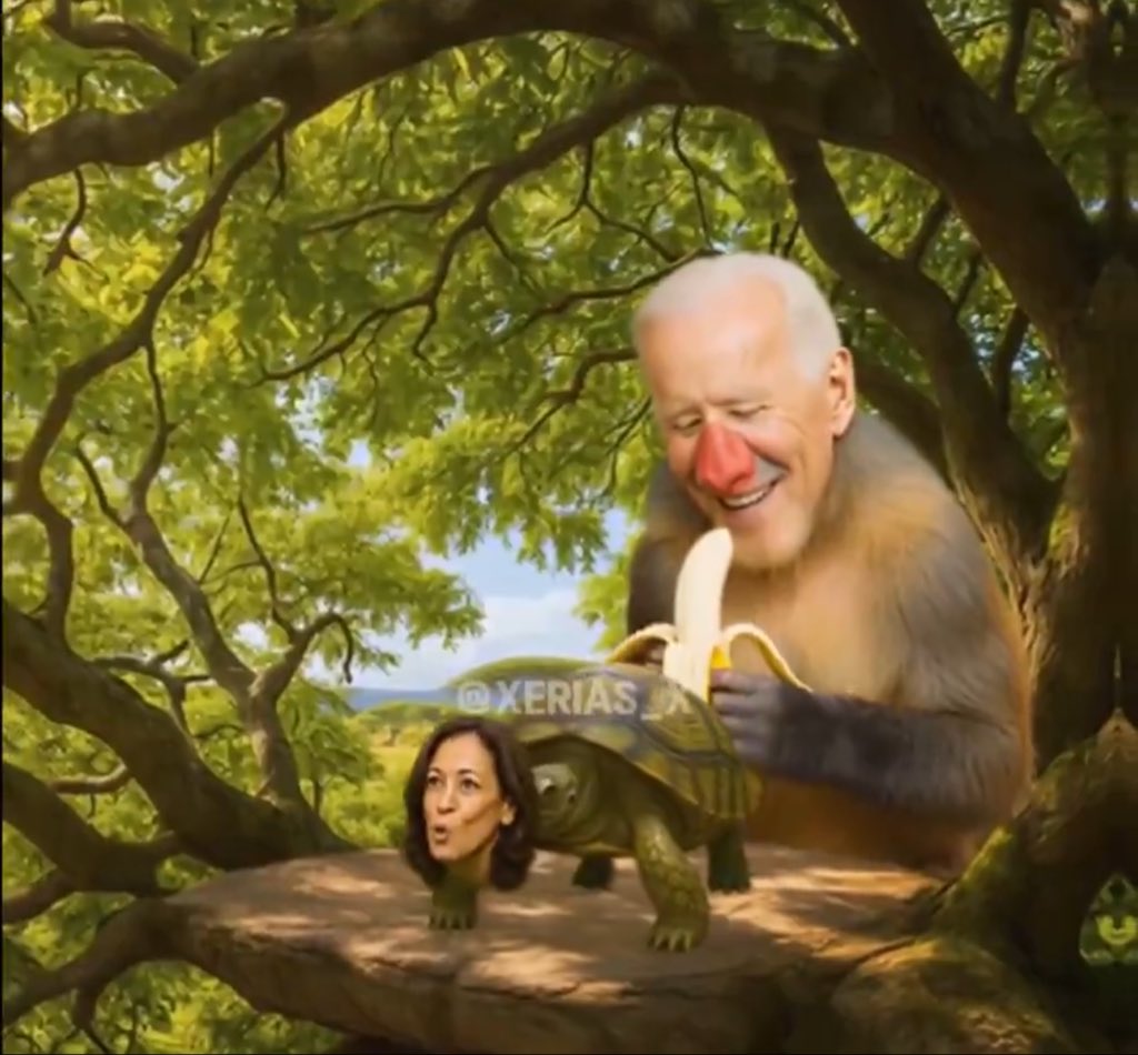 Alex Bruesewitz 🇺🇸 tweet media