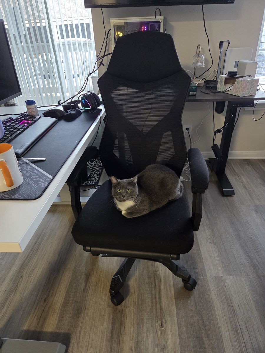 ⭕️ Lizzy Stacey tweet media