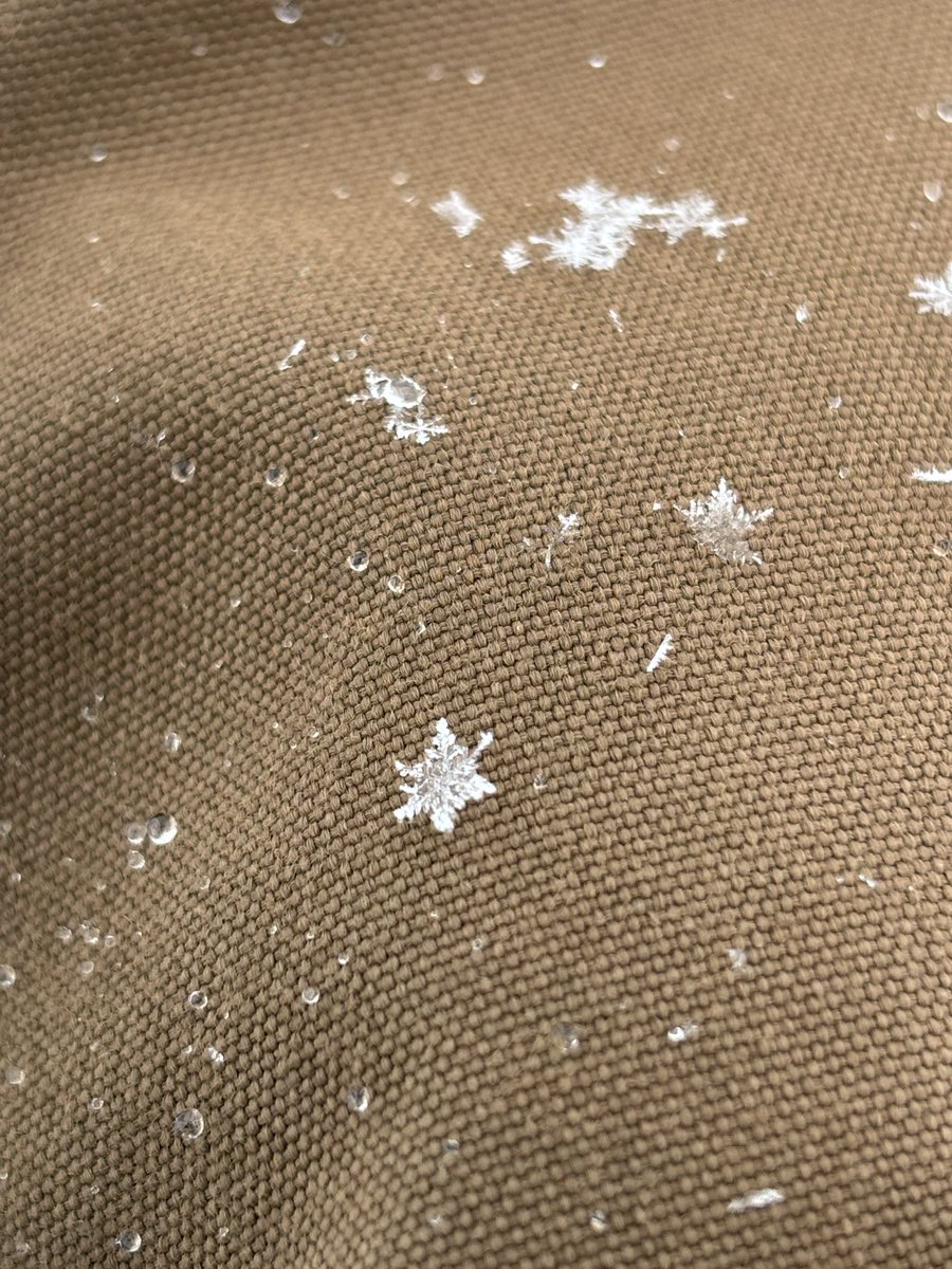 keken0722's tweet photo. 雪の結晶が降ってる❄️ https://t.co/CNQNdRYqSj