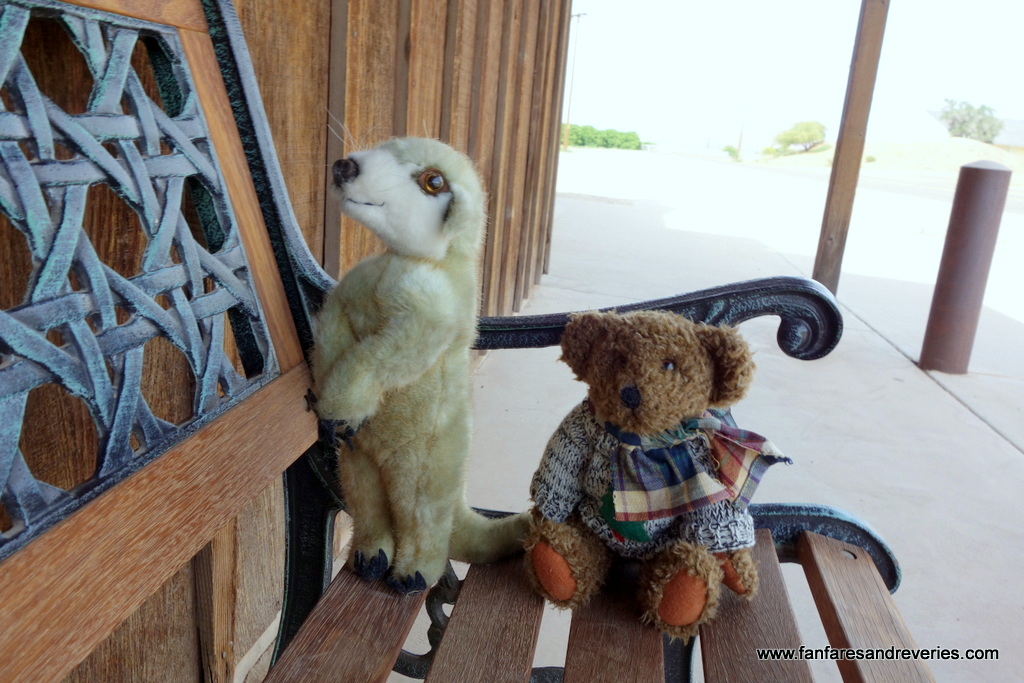 Mesa_Artist's tweet image. Mr. Meerkat and Miss Bear on an adventurous day hike.  #Arizona #adventures #fridaymood #stuffed #Bear #Meerkat 🍂🌿🍃🌄🧸