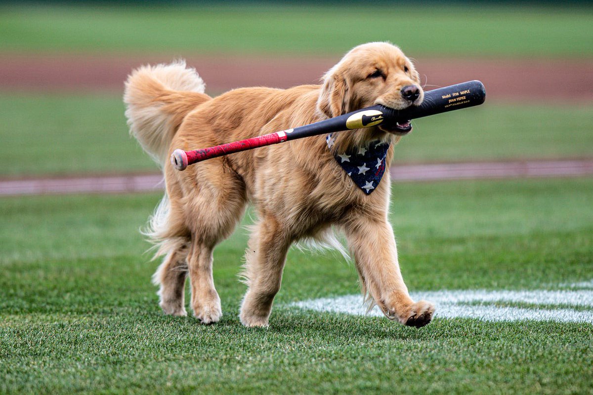 MiLBPromos's tweet image. If Minor League Baseball had an #OpeningCeremony