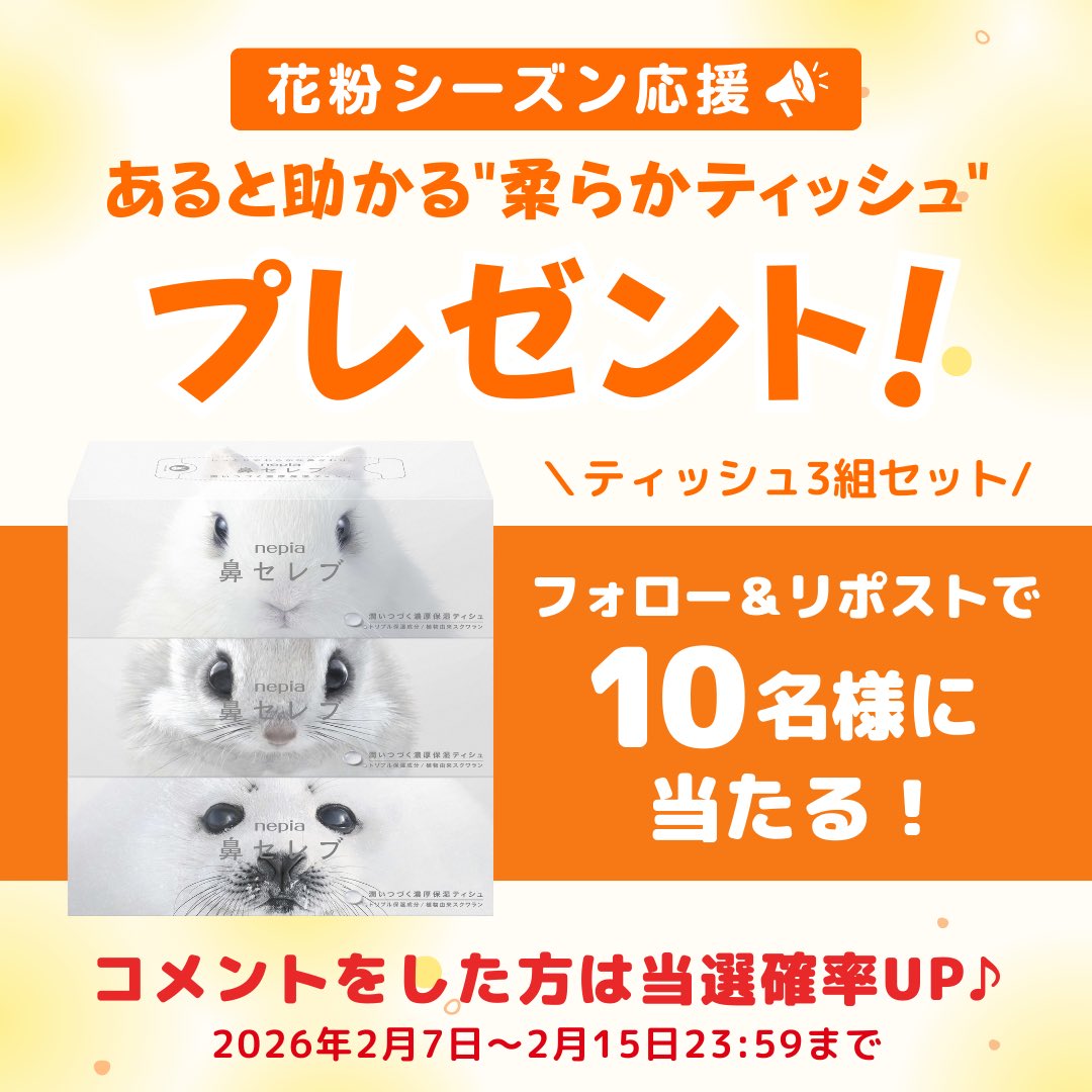 ／ 
花粉に負けない🤧
＼ 

あると助かるサポートアイテム👀

花粉の季節に向けて
【箱ティッシュ3箱セット】を10名様にプレゼント🎁✨

①<a href="/UaMarcial70826/">Marcial｜マーシャル</a>をフォロー
②この投稿にリポスト/ 引用リポスト🔁
コメントで当選率UP💬☝💥

2月15日23:59まで