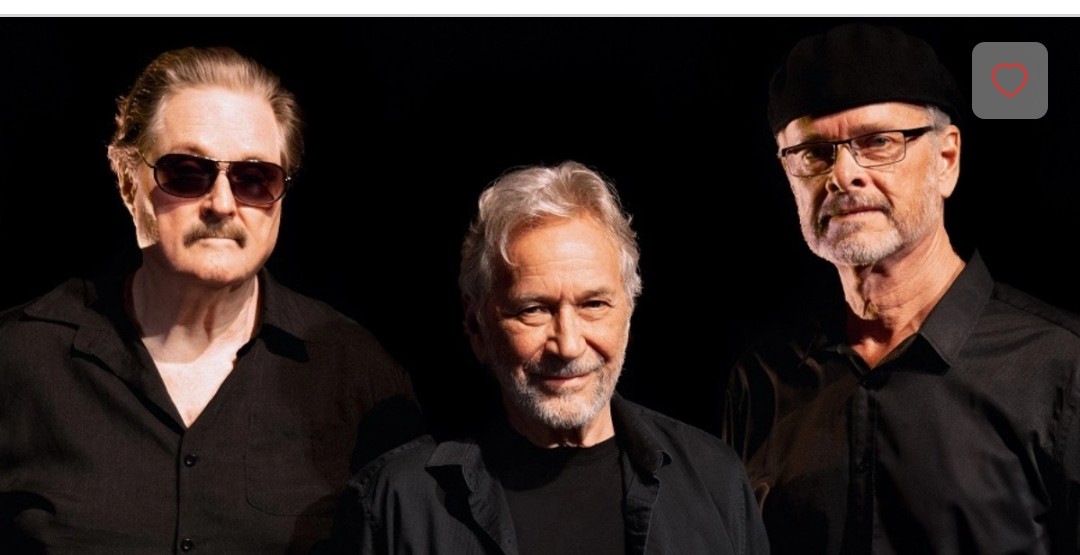 susan🌴🇨🇦🇬🇧 tweet media