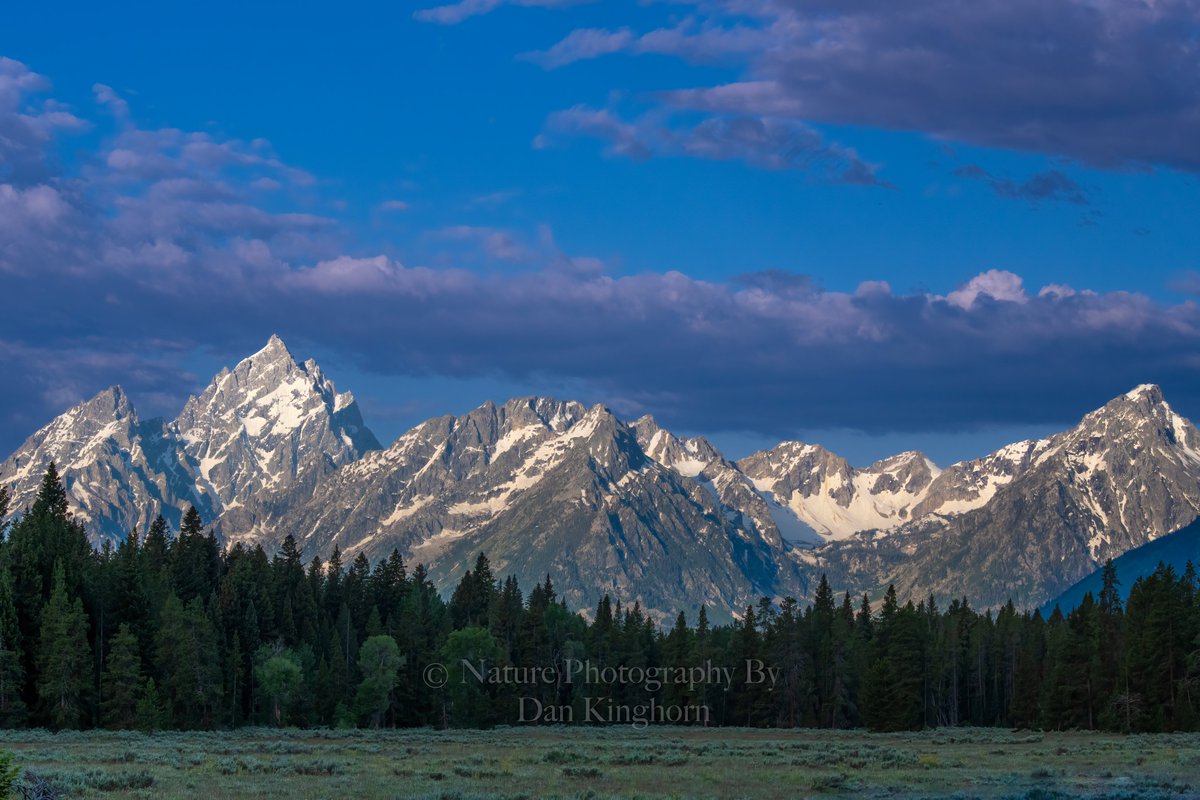 Dan Kinghorn tweet media