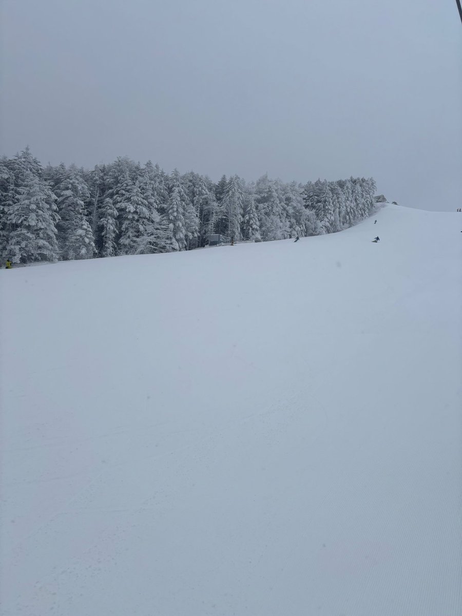 めっちゃ世界が白い
(ガスってすらいる)