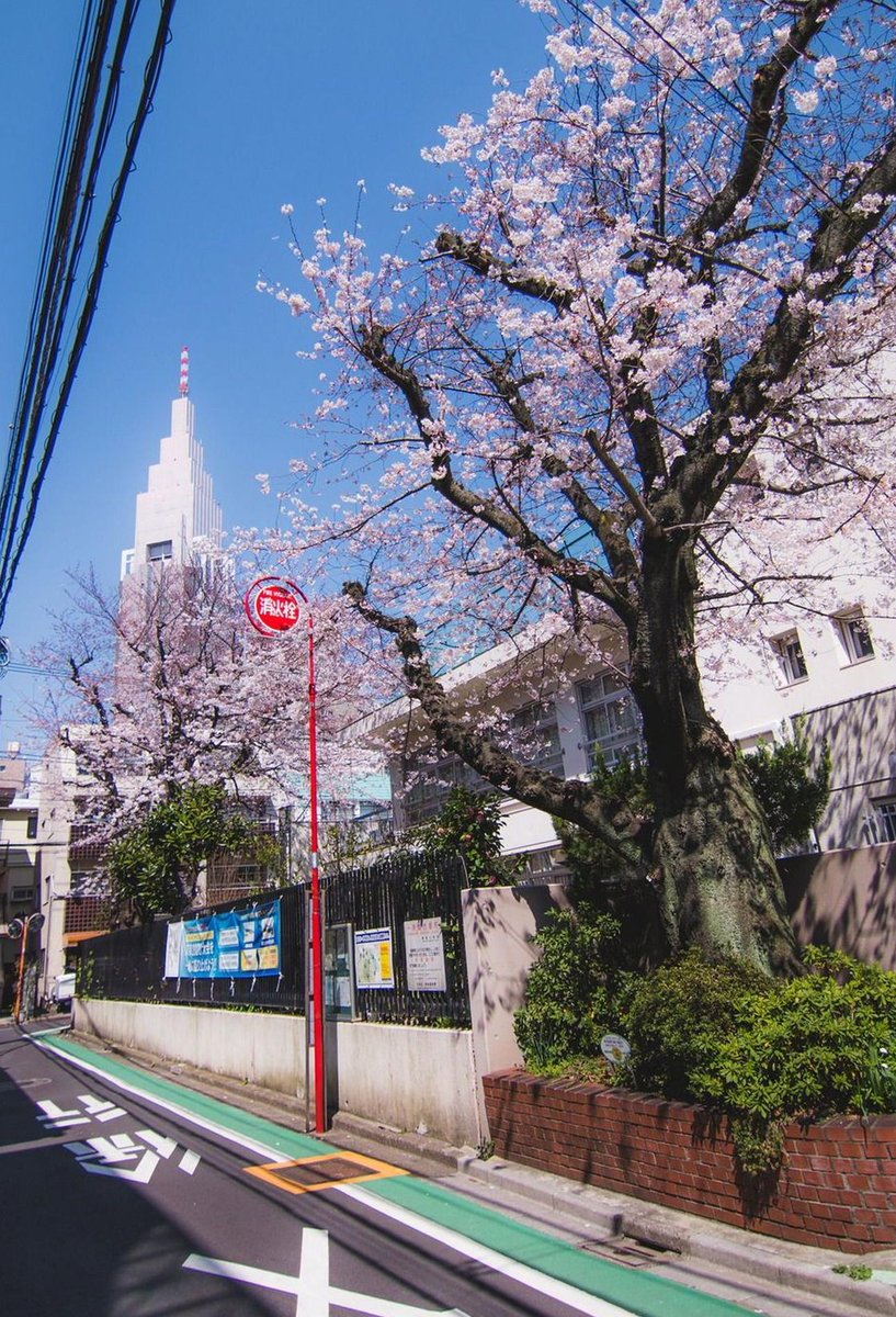 NeilSimpson7's tweet image. #応援 国 👨‍🦽