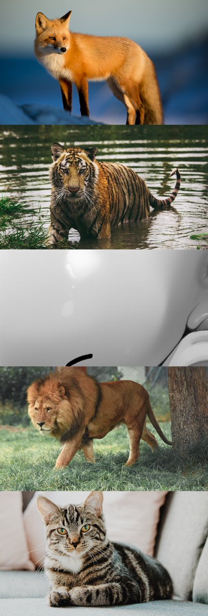 zdsfl83726815's tweet image. いただきます
(1/7) SFW