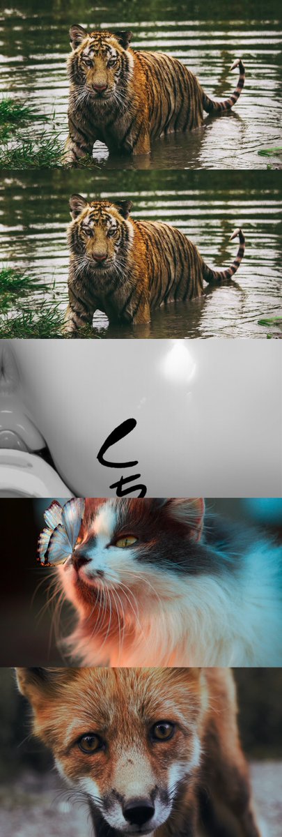 zdsfl83726815's tweet image. いただきます
(1/7) SFW