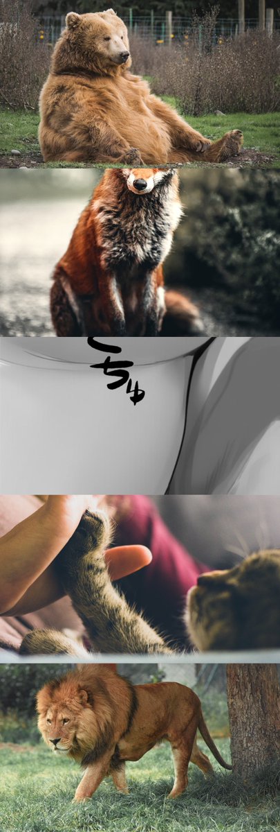 zdsfl83726815's tweet image. いただきます
(1/7) SFW