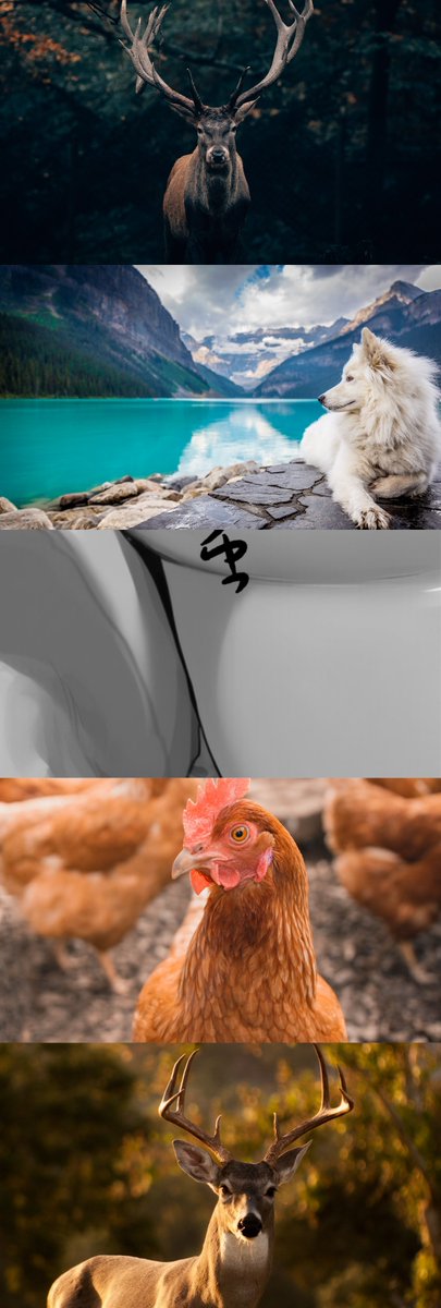 zdsfl83726815's tweet image. いただきます
(1/7) SFW