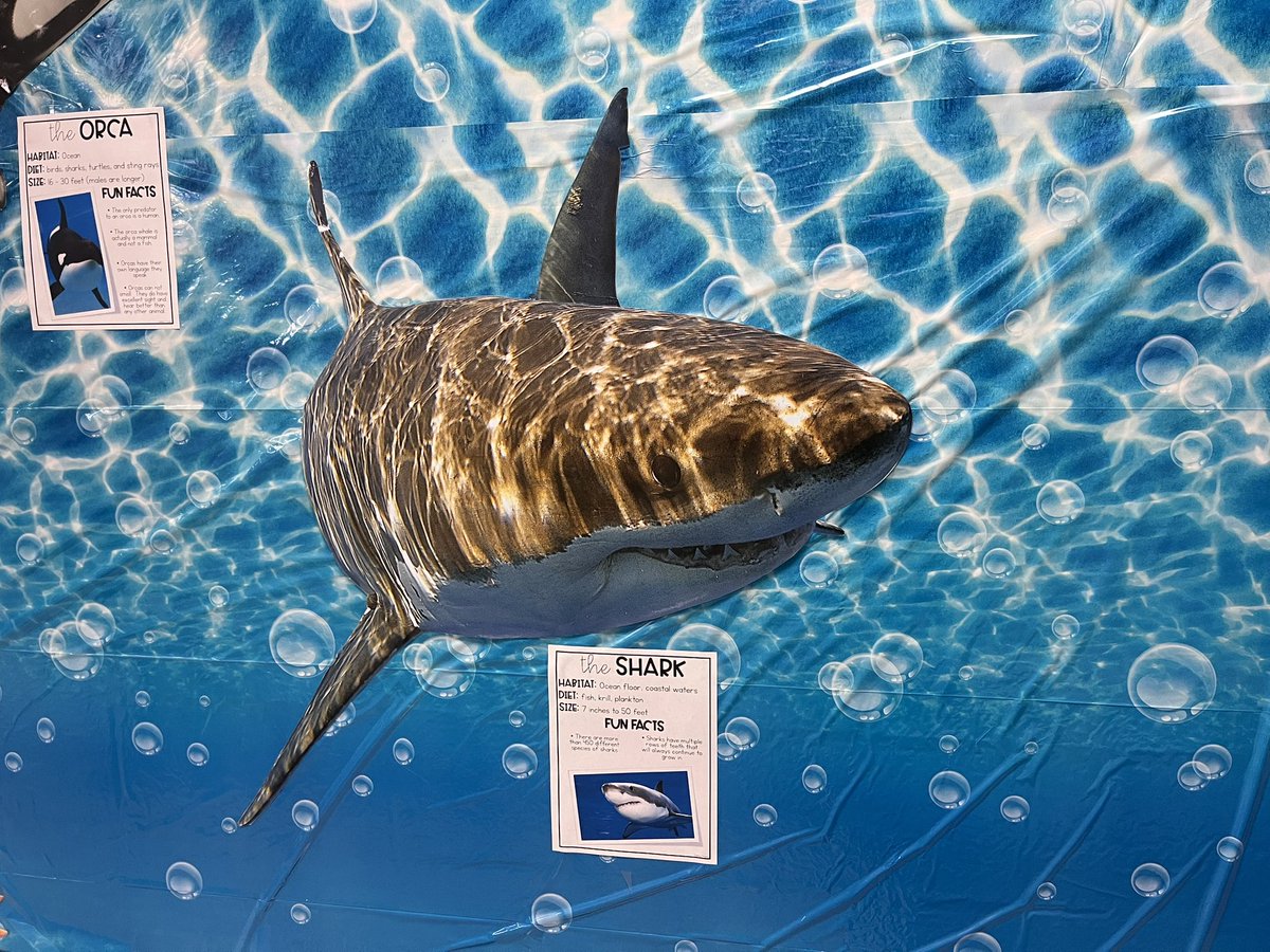 Jesse Daniel tweet media