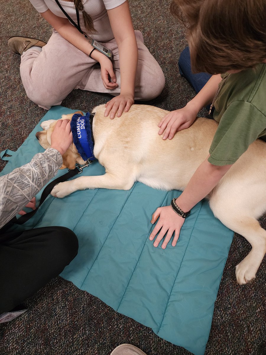 TJHS Library📚 tweet media