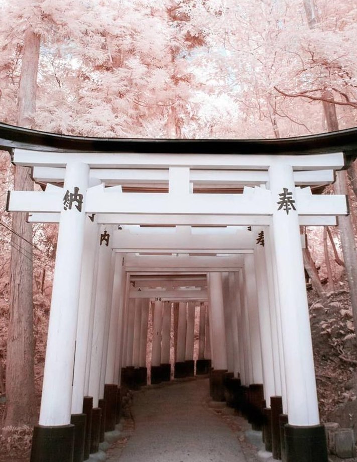 sortushar's tweet image. 静か鞄 👨‍👨‍👧‍👧