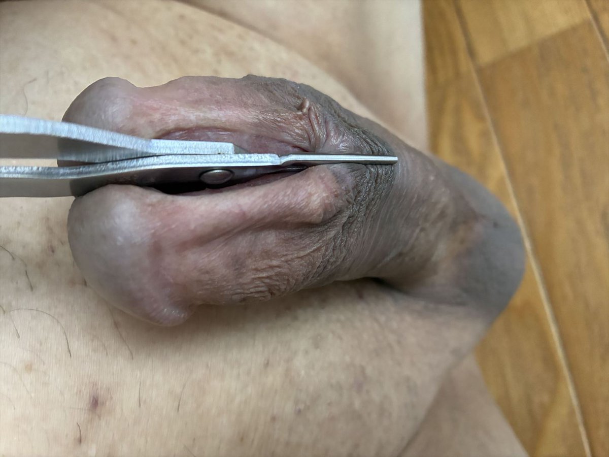 demeandy tweet media