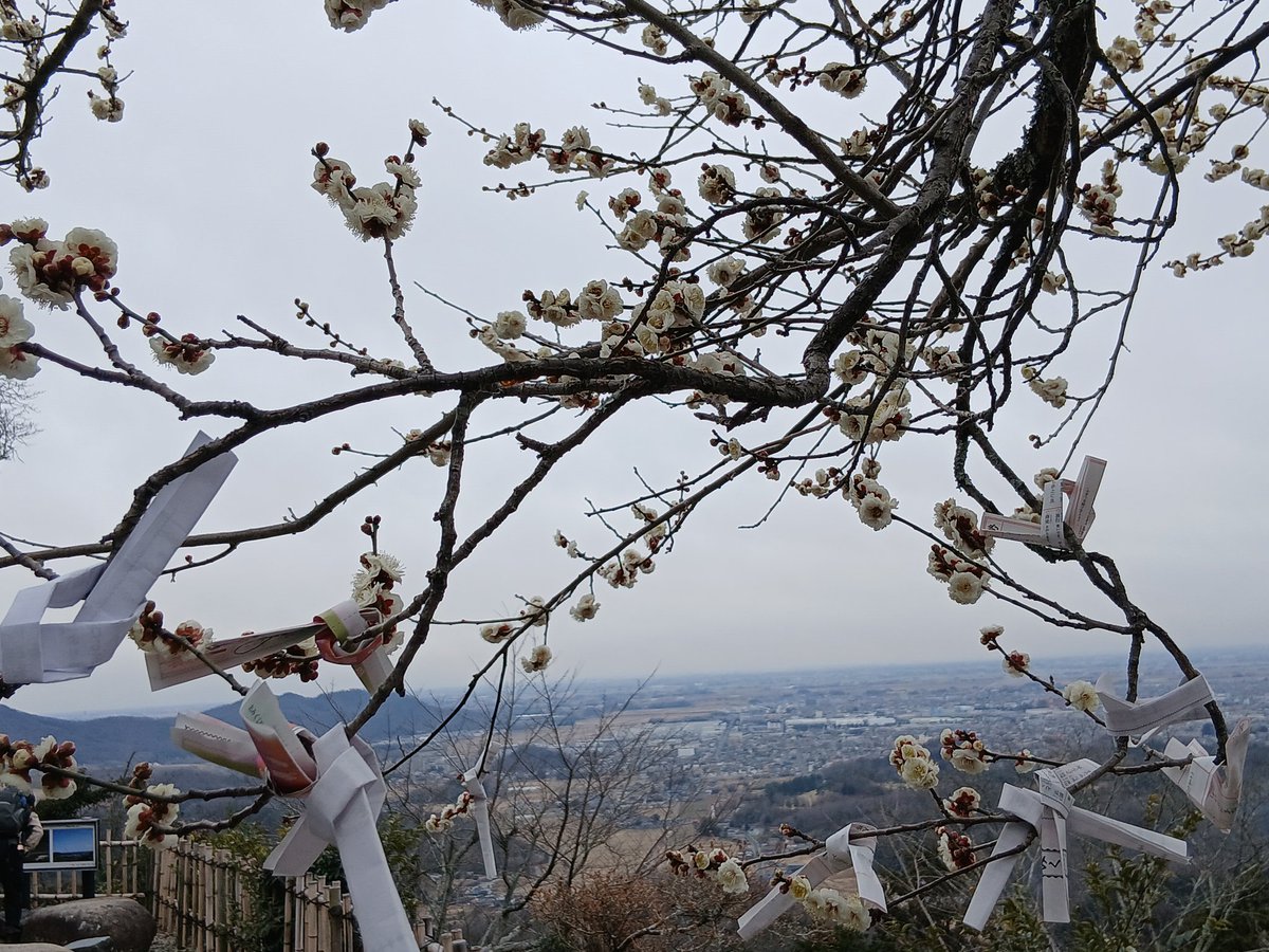 sheko229a's tweet photo. 毎年マリノスの優勝祈願に来る神社。城跡を奉った神社。でも落城してないから「落ちない」と受験生に良いらしいということを最近知り。だから去年は踏みとどまれたのかと。
ありがとうございます♥️秀郷様
#横浜F・マリノス
#唐沢山神社 https://t.co/hE6mh8ZzRl
