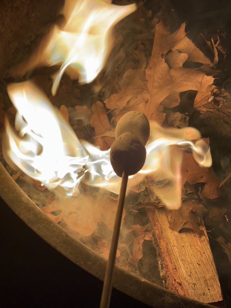 ｸﾘｯﾋﾟｨﾒｪｴ tweet media