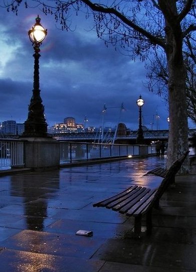 NeTo__O's tweet image. 美味しい学校 🍚