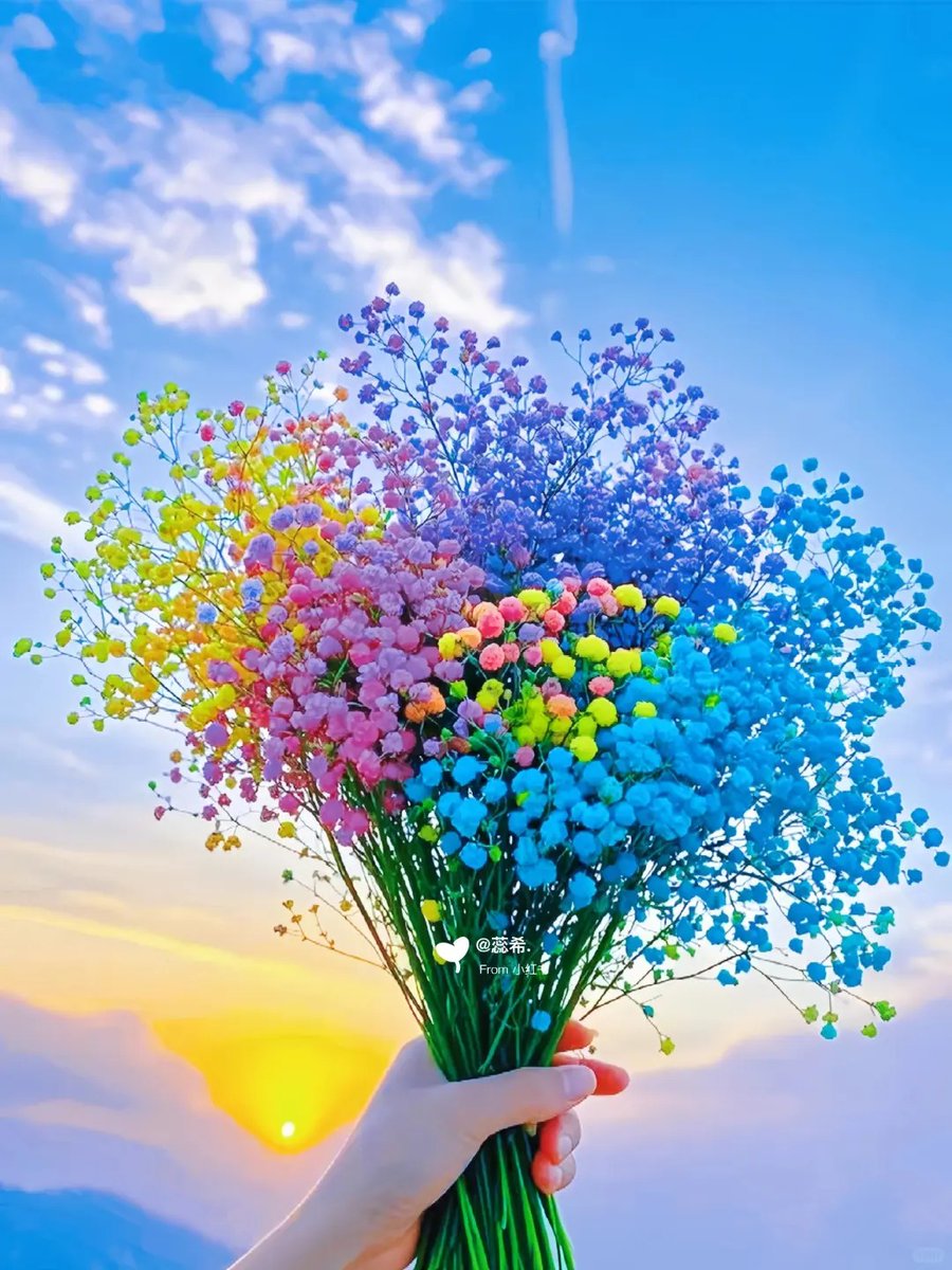 Good morning X
Chào buổi sáng cuối tuần nhé, cuối năm chắc mọi người bận rộn lắm nhỉ, ai lướt X thấy chào nhau phát nha 🫡🫡