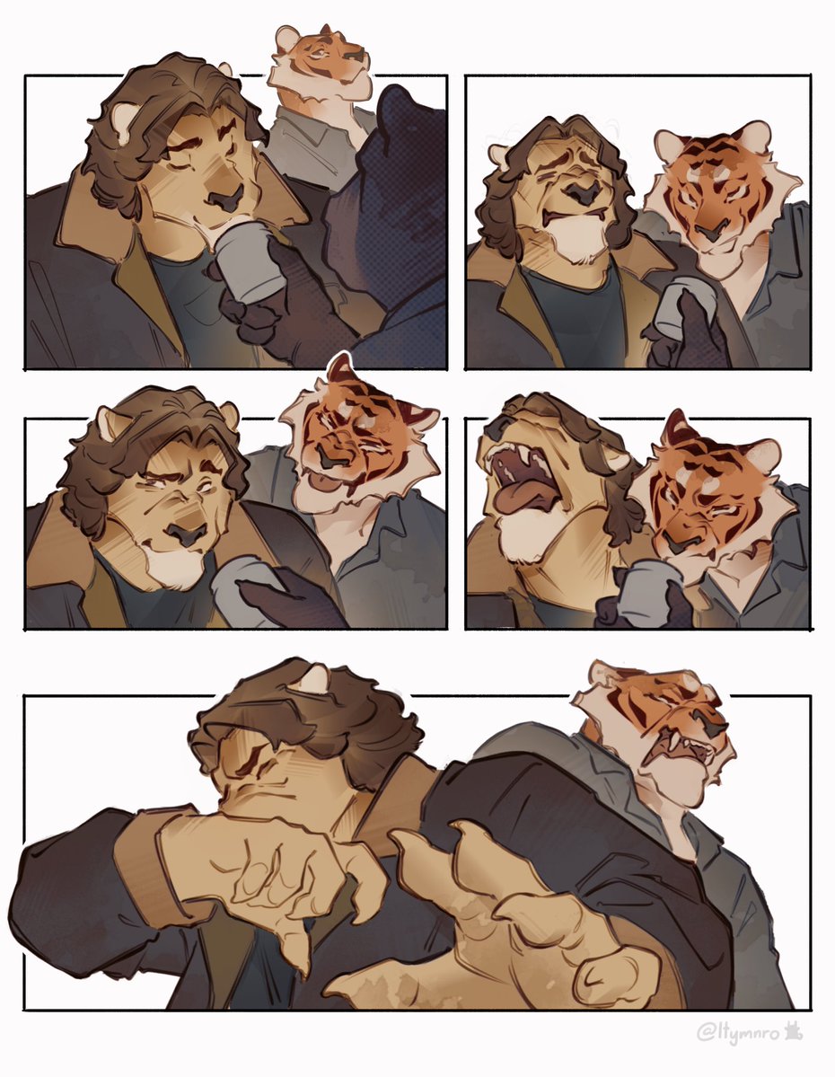 Big cats are still cats! 🦁🐯