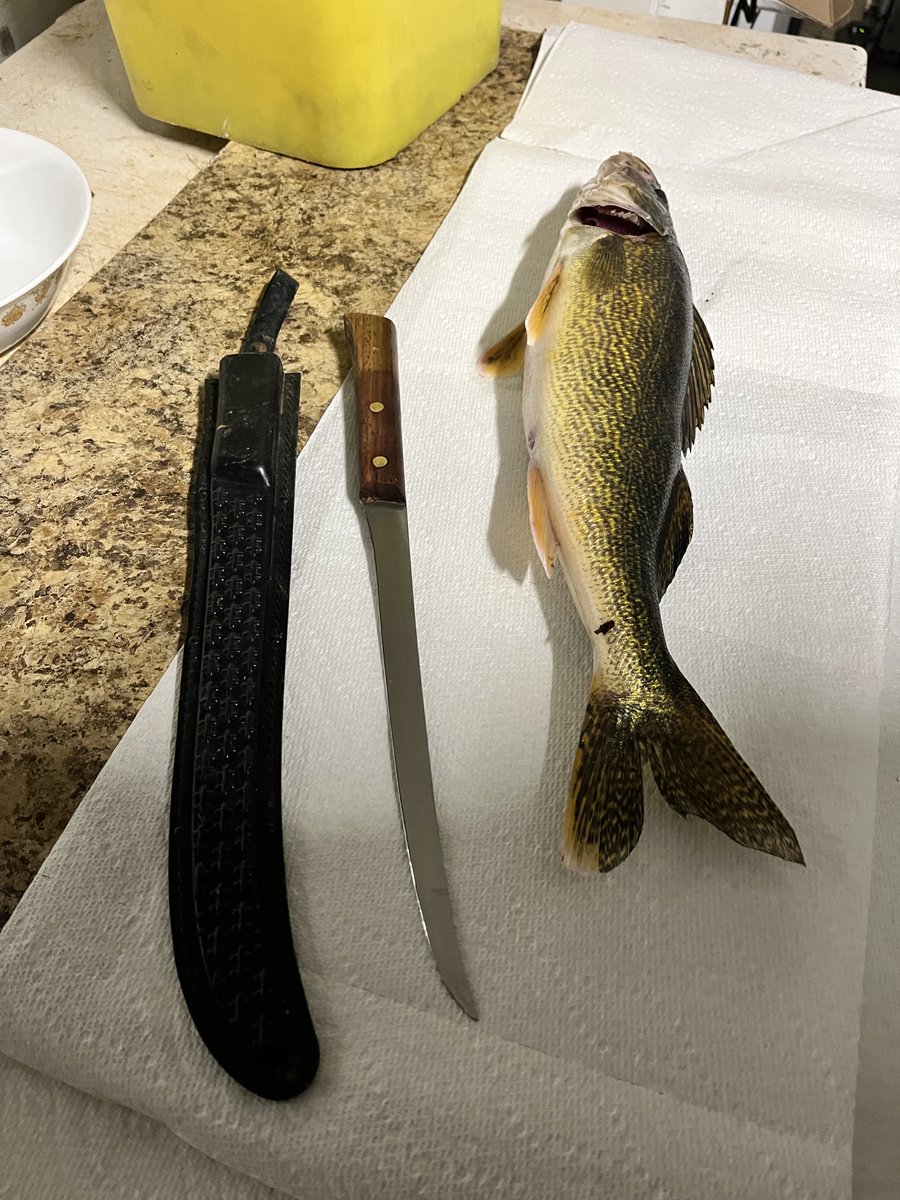 Big D Outdoors tweet media