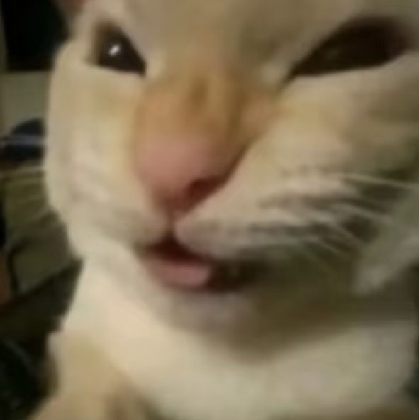 dudududu tweet media