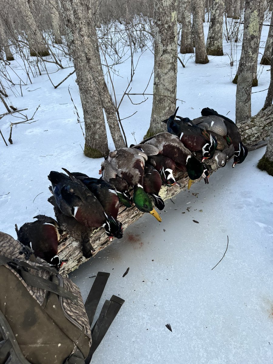 T. White tweet media