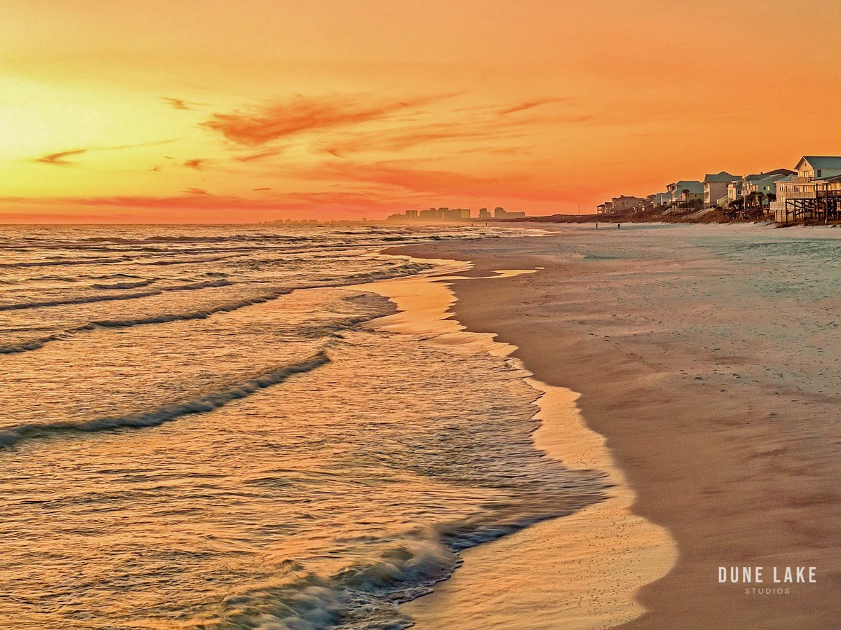 David Warren tweet media