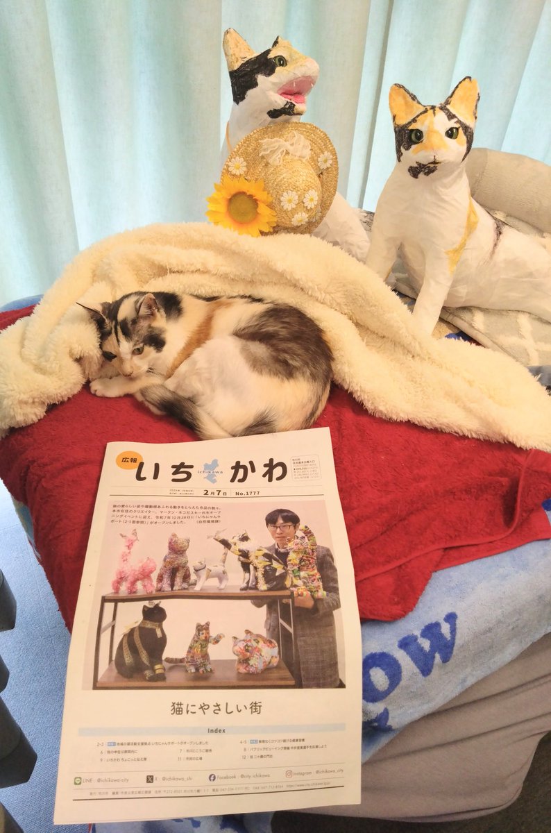 ミケ様✿専用ページ ミケちゃん (@ojm52811) / Posts / X