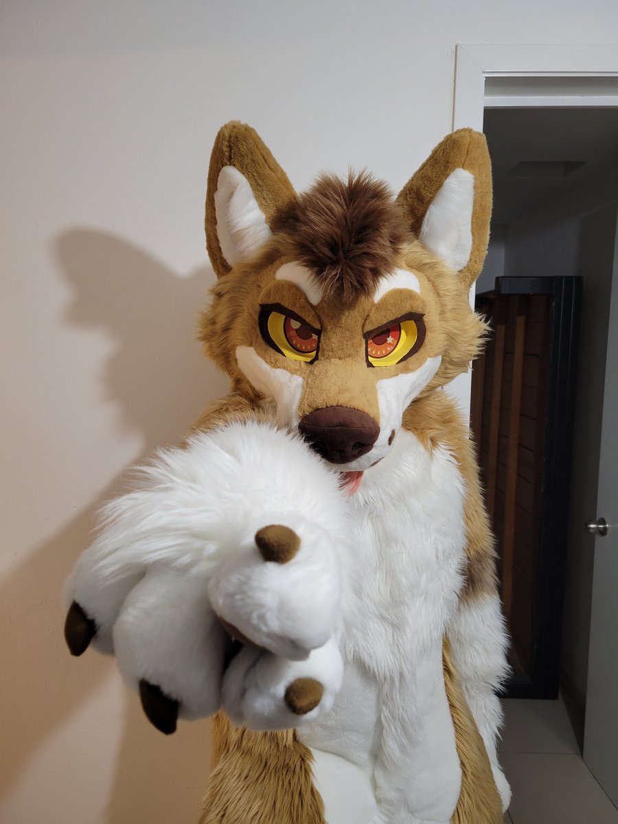 Hey you, give me all your cookies. Now! 🍪 #FursuitFriday