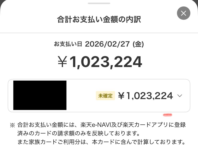 年末ギリギリのふるさと納税、旅行、子供の歯科矯正・眼科… 一気に来た