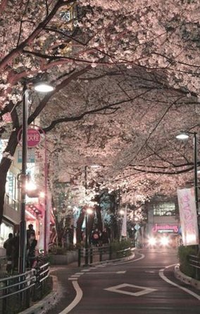 EmilyFallime's tweet image. 空が重い 🌺