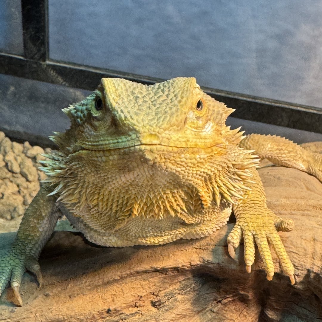 朝の光で考える tweet media