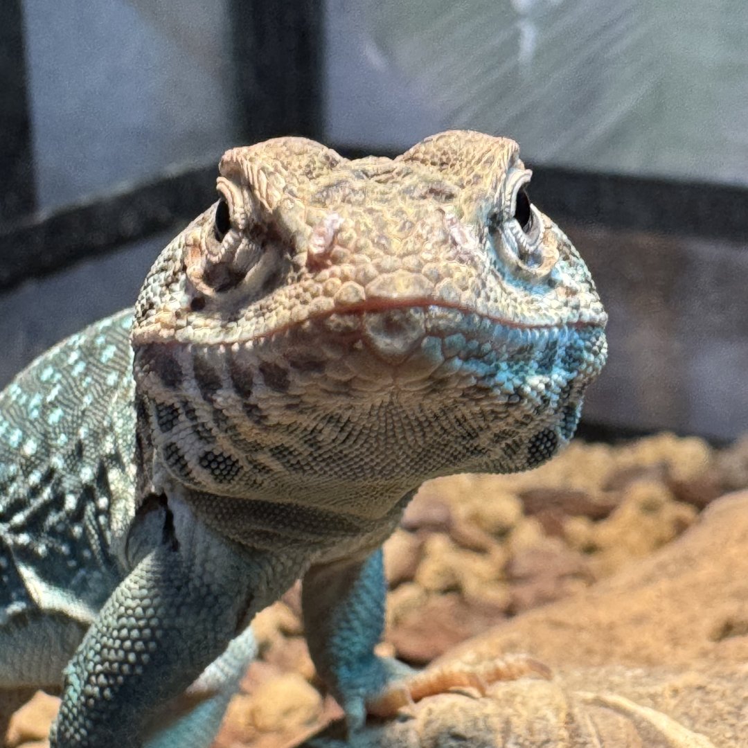 朝の光で考える tweet media