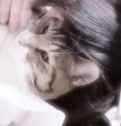 thecode28's tweet image. 街が濃い 🥕