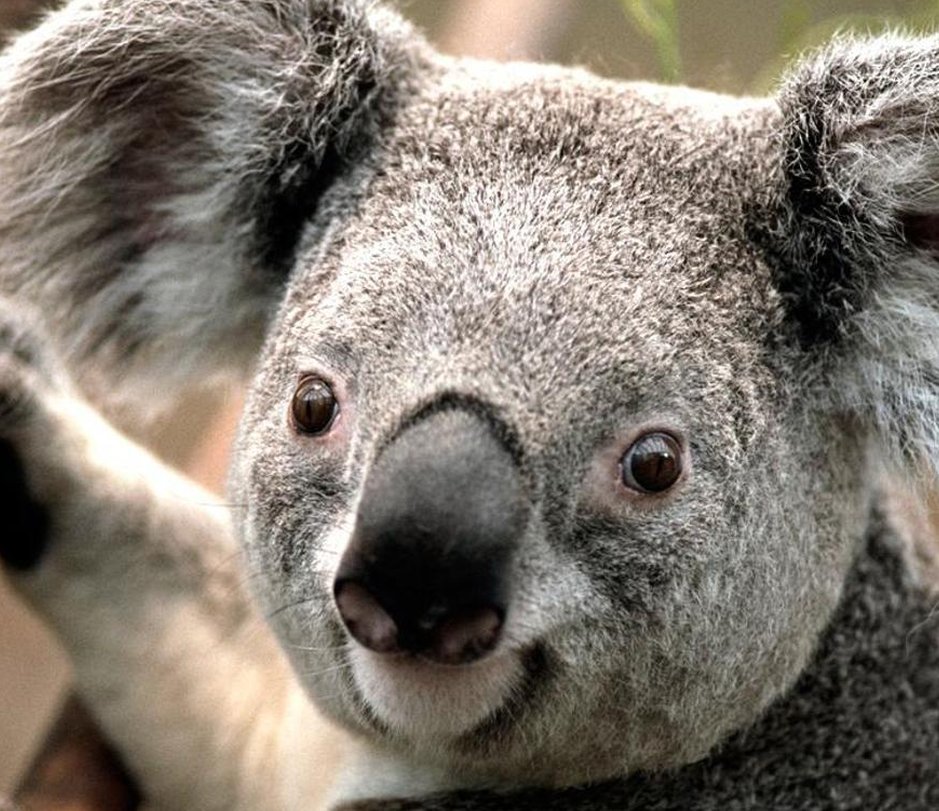 devmaurya's tweet image. 耳に見る 🤣